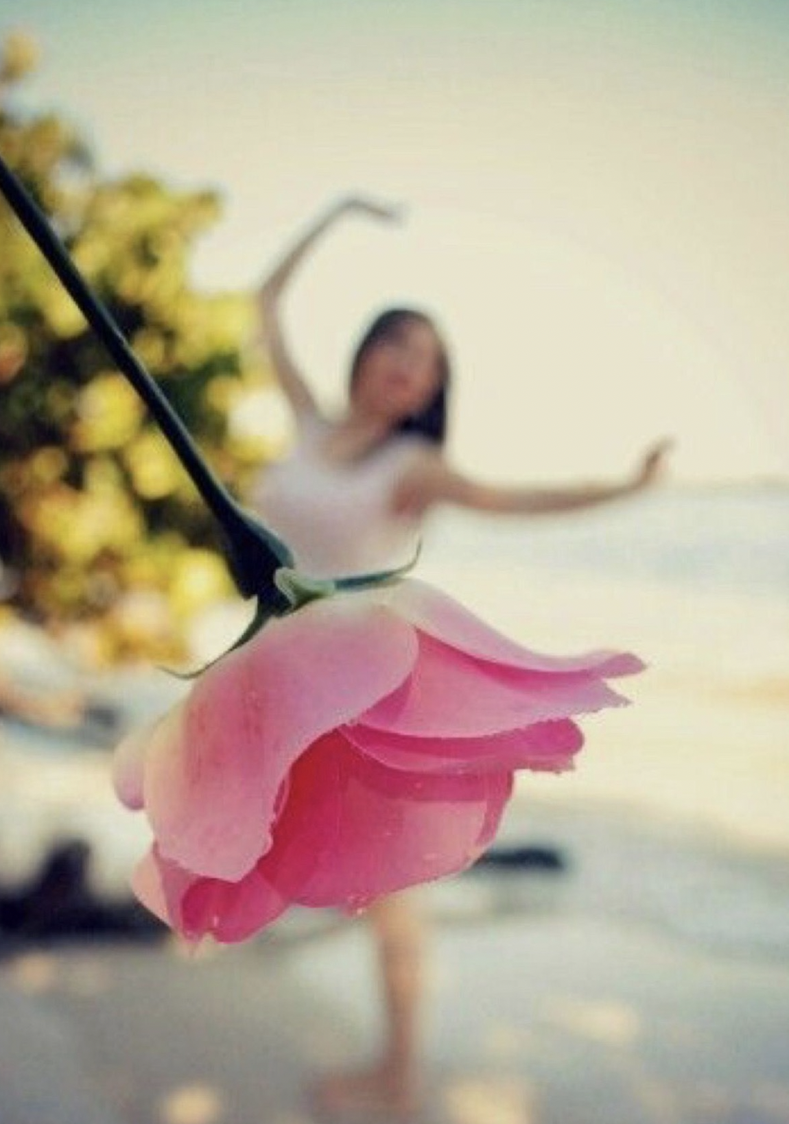Femme qui danse derrière une rose rose en fleur, évoquant la joie et la renaissance intérieure